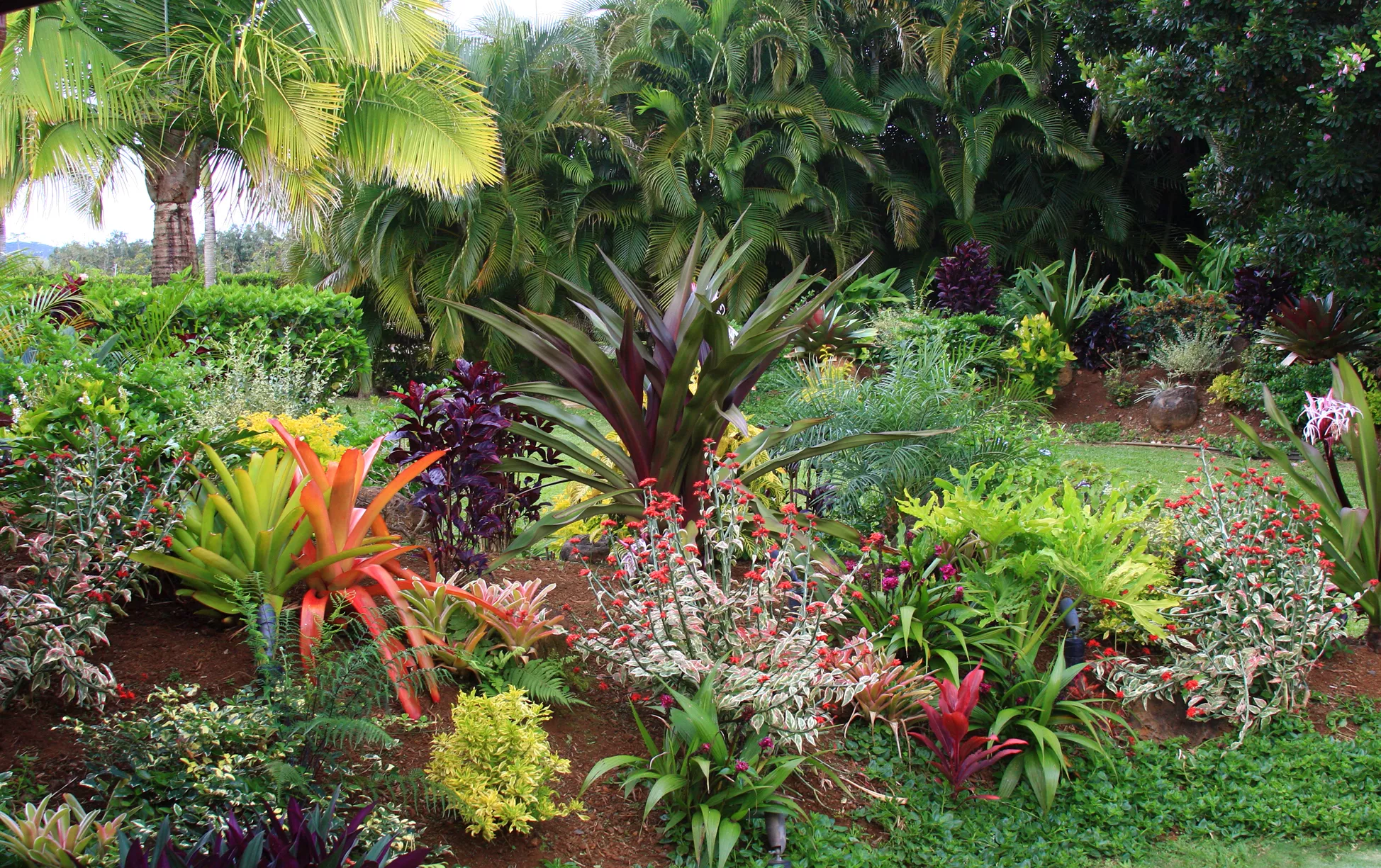 Tropical Hawaiian Flower Garden