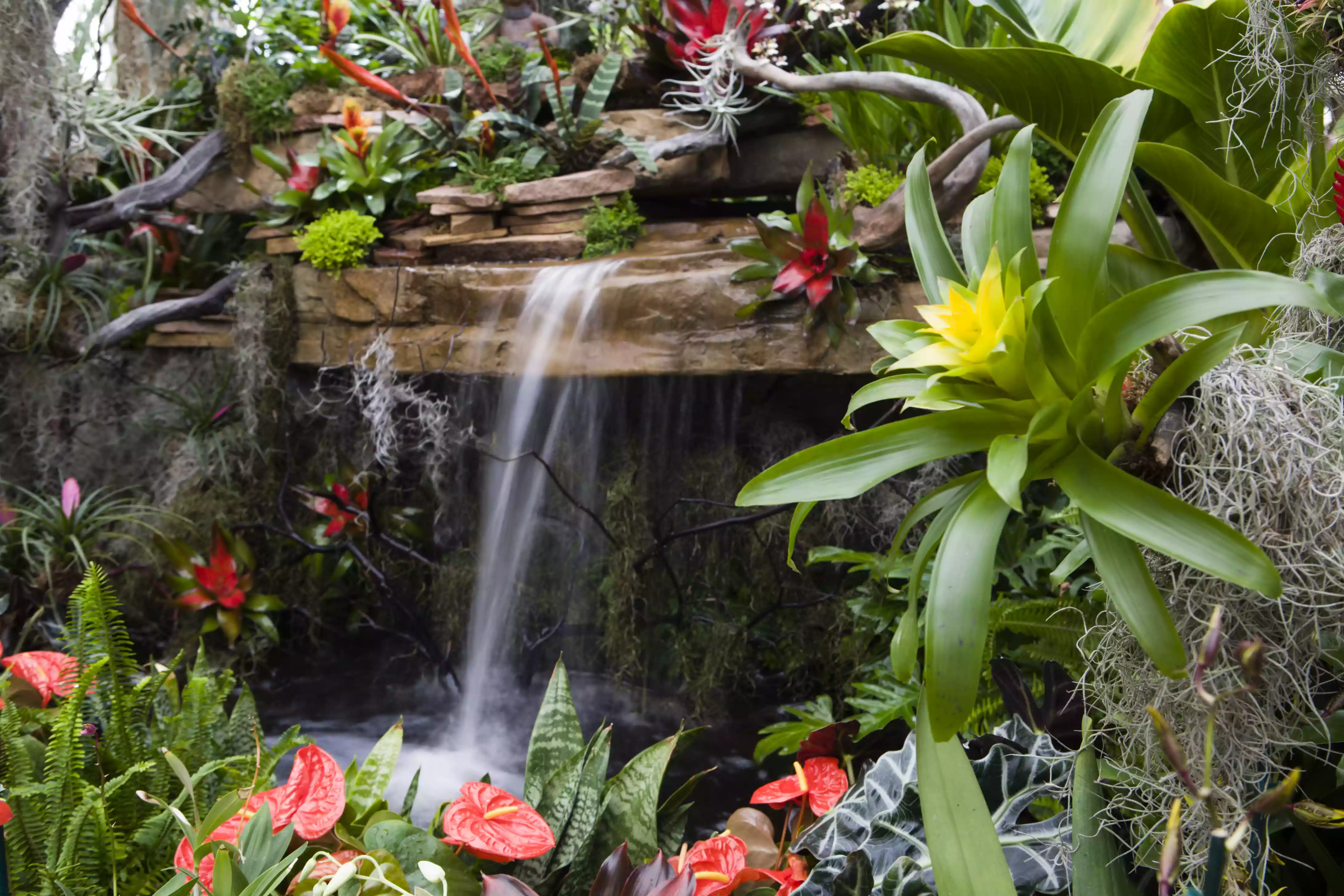 Tropical Garden Waterfall